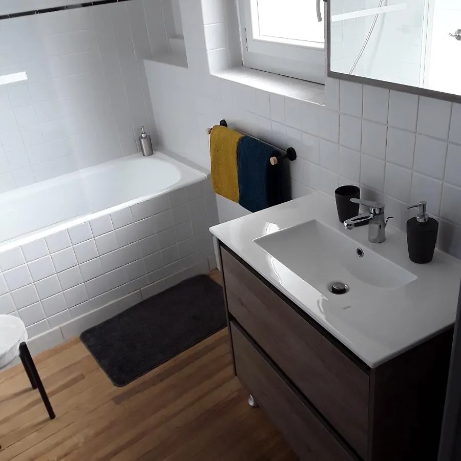 Maison De Ville Avec Garage Et Terrasse ルルド